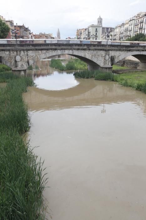 Temporal de maig a Girona per Temps de Flors