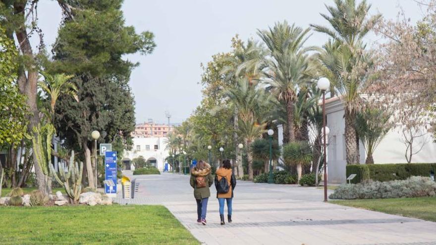 Imagen del campus de la Universidad de Alicante.