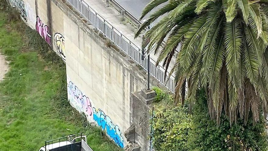 Fumigación para la palmera de Casa Carnicero