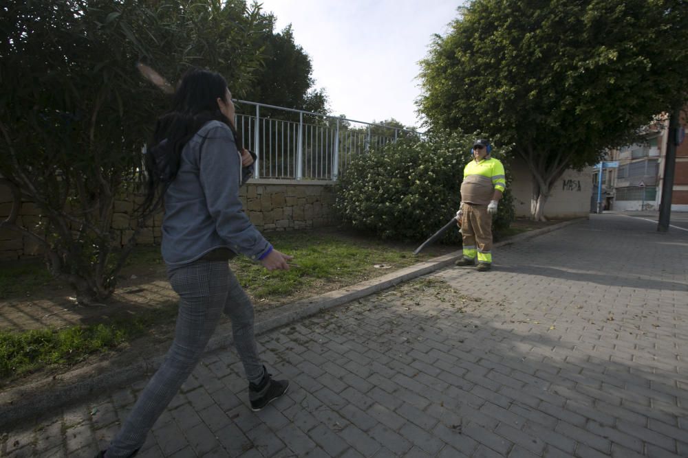 Tortura animal en el parque de Requena