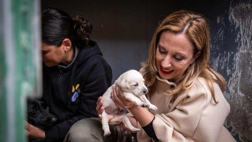 Visita de la presidenta del Cabildo a las instalaciones del Albergue de animales de Valle Colino