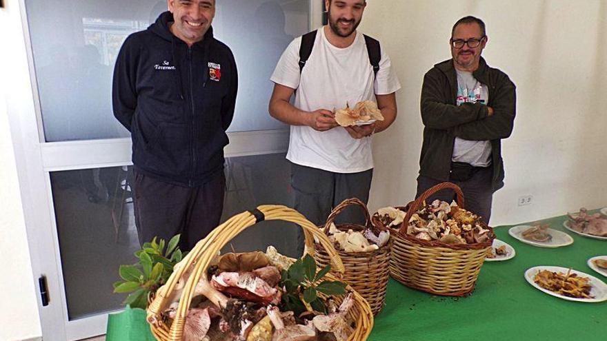 Recogen más de 30 kilos de setas en Lloseta