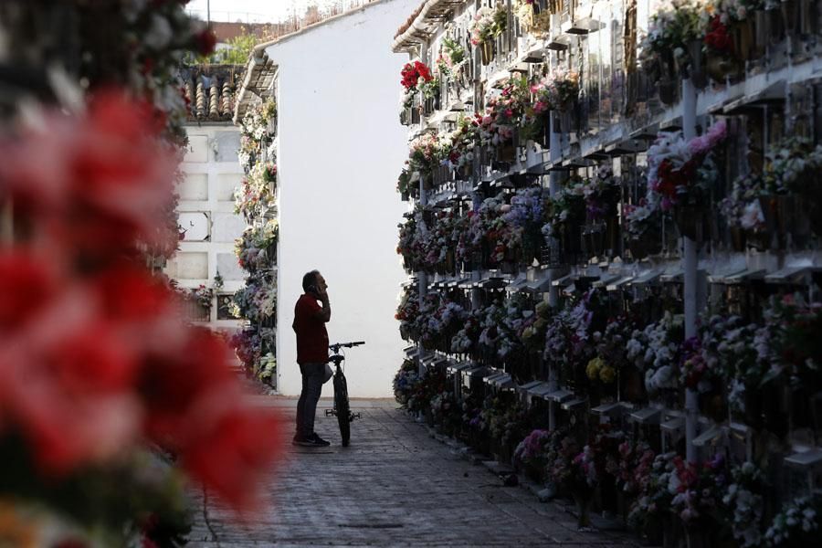 Desescalada en Córdoba: Restaurantes, cementerios, loterías, autoescuelas y otras aperturas