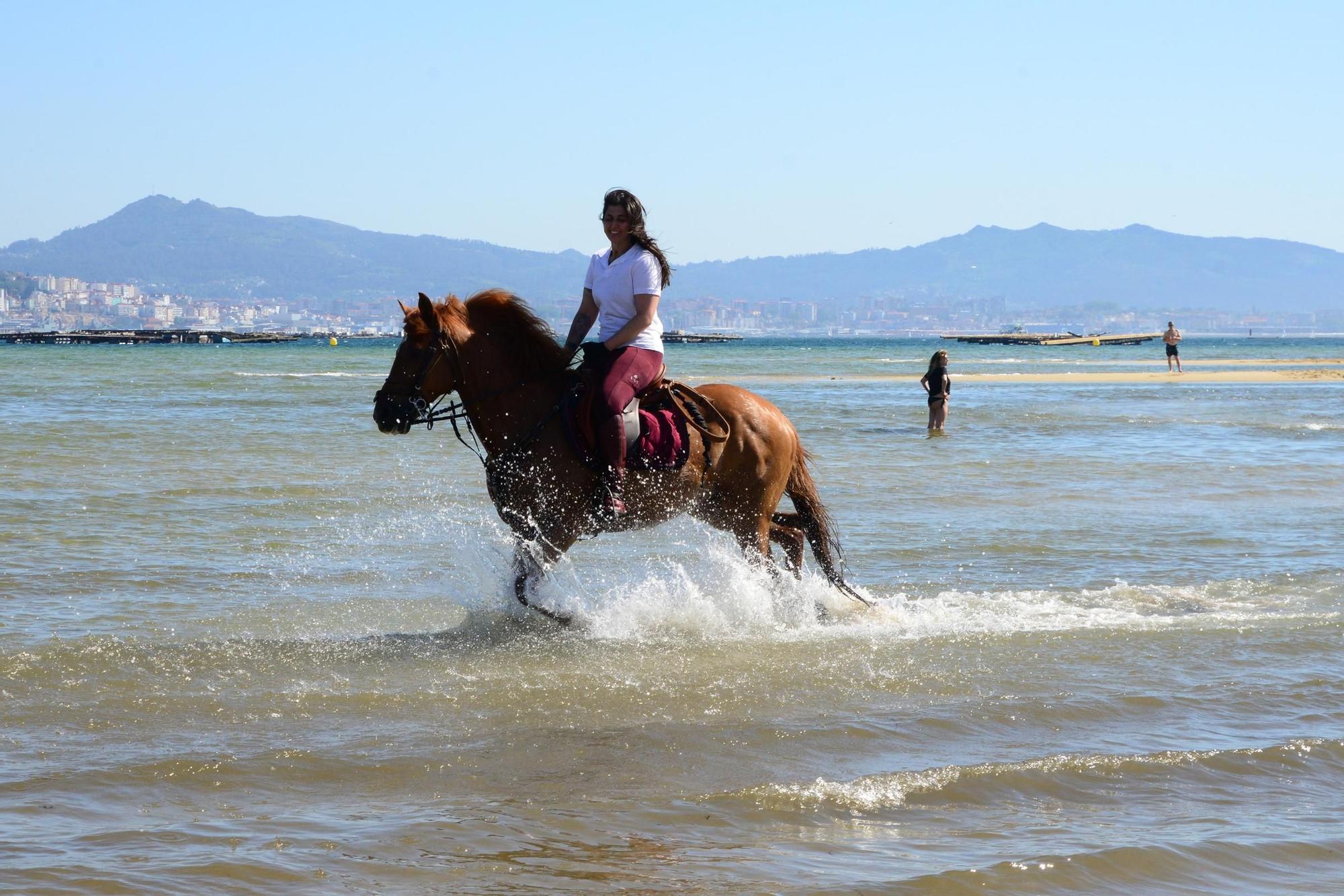 Una espectacular jornada a caballo por Moaña (I)