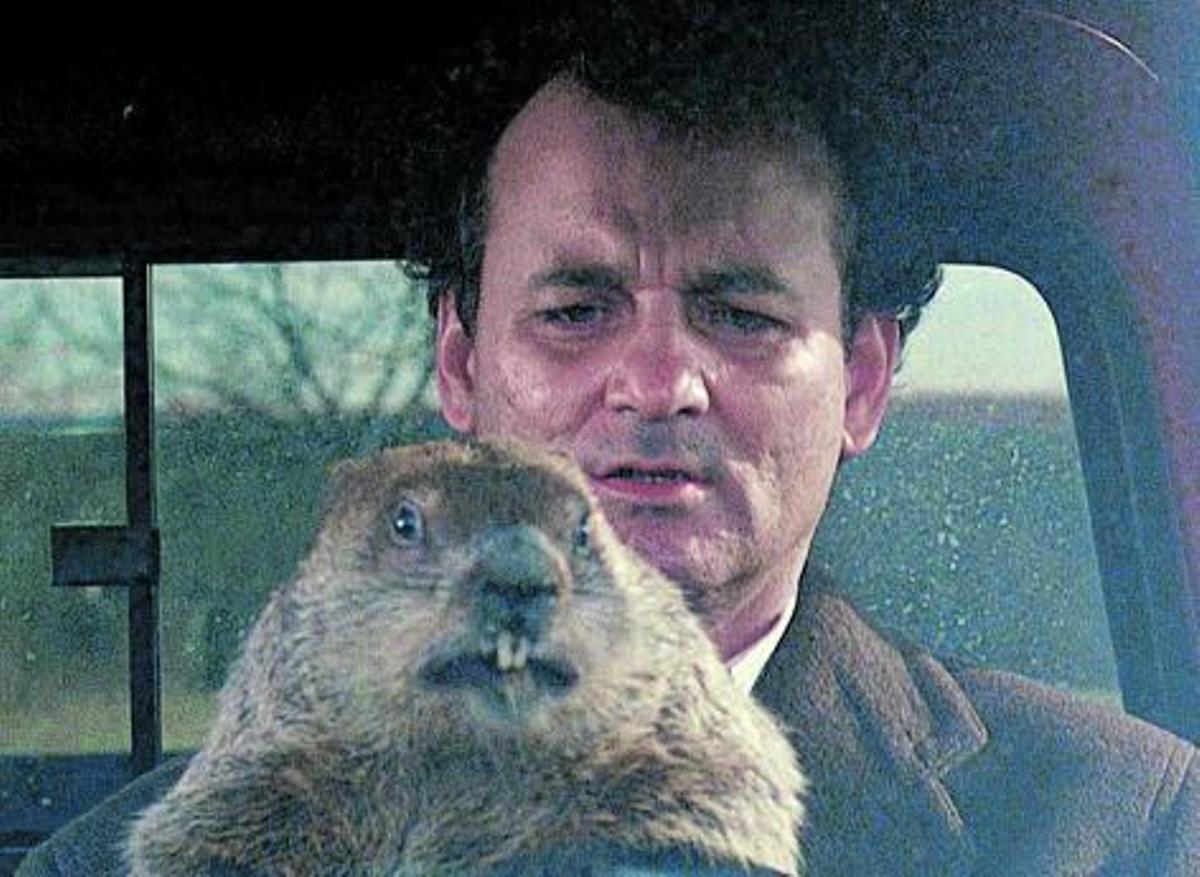 Bill Murray