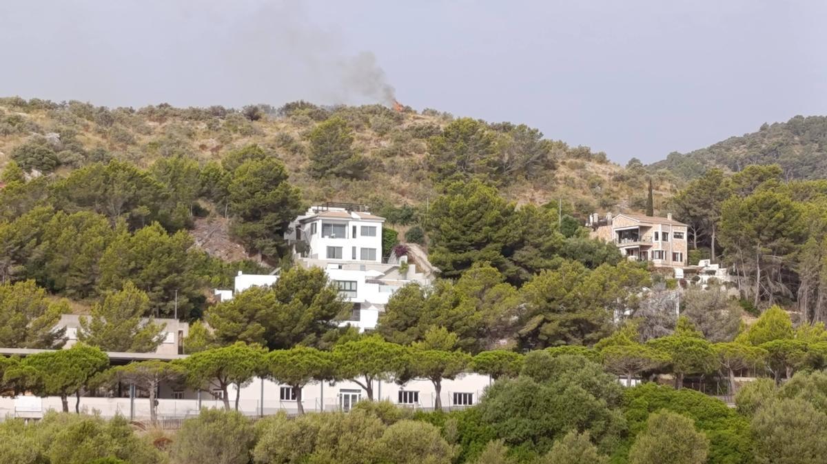 Controlado un incendio en el Puig de sa Bassa