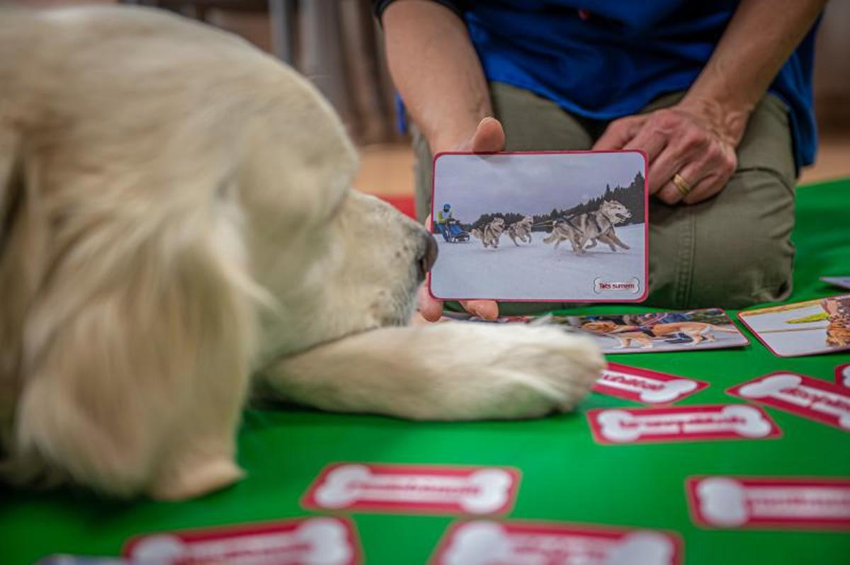 Terapia con perros, en el hospital de día de niños, en el Clínic