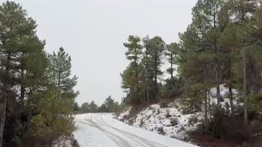 Así cae la nieve en la zona de Puerto Hondo de Moratalla