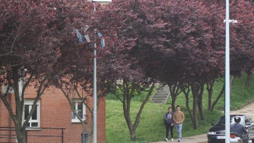 La calle Pepe La Mata, en la que se localizan los pisos municipales.   braulio fernández