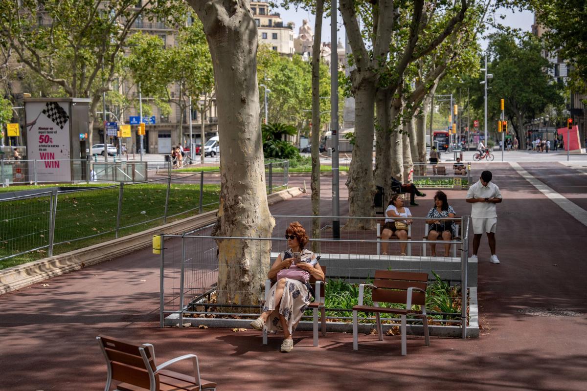 Hasta 10 bancos y 17 sillas, con éxito de público, pueblan la reurbanización de los jardines.