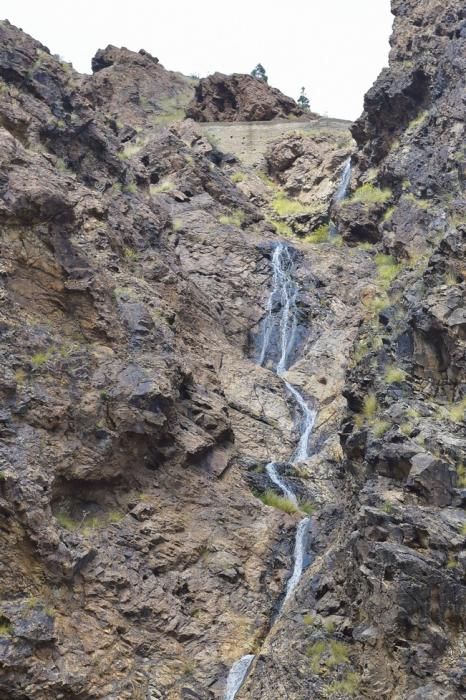 Efectos del temporal en cumbre y norte de la isla