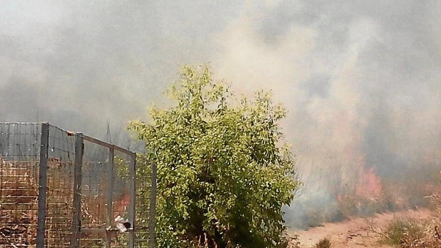 Un fuego quema 40 hectáreas de pastos en las Cuestas de Orinaza de Badajoz
