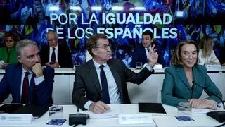 Feijóo saca al PP en toda España contra la amnistía y pide a los barones que esquiven el debate de la quita