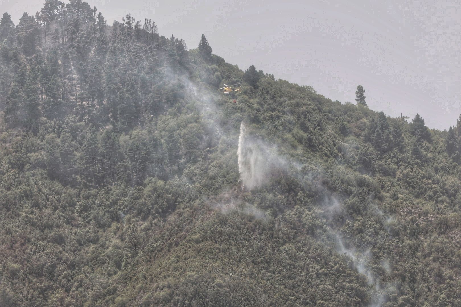 Incendio del norte de Tenerife (25/07/2022)