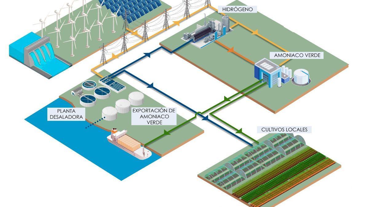 Centro de investigación de amoniaco verde, destinado a empresas de fertilizantes.