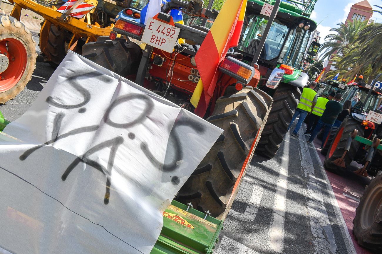 Tractorada del sector primario en Las Palmas de Gran Canaria (21/02/24)