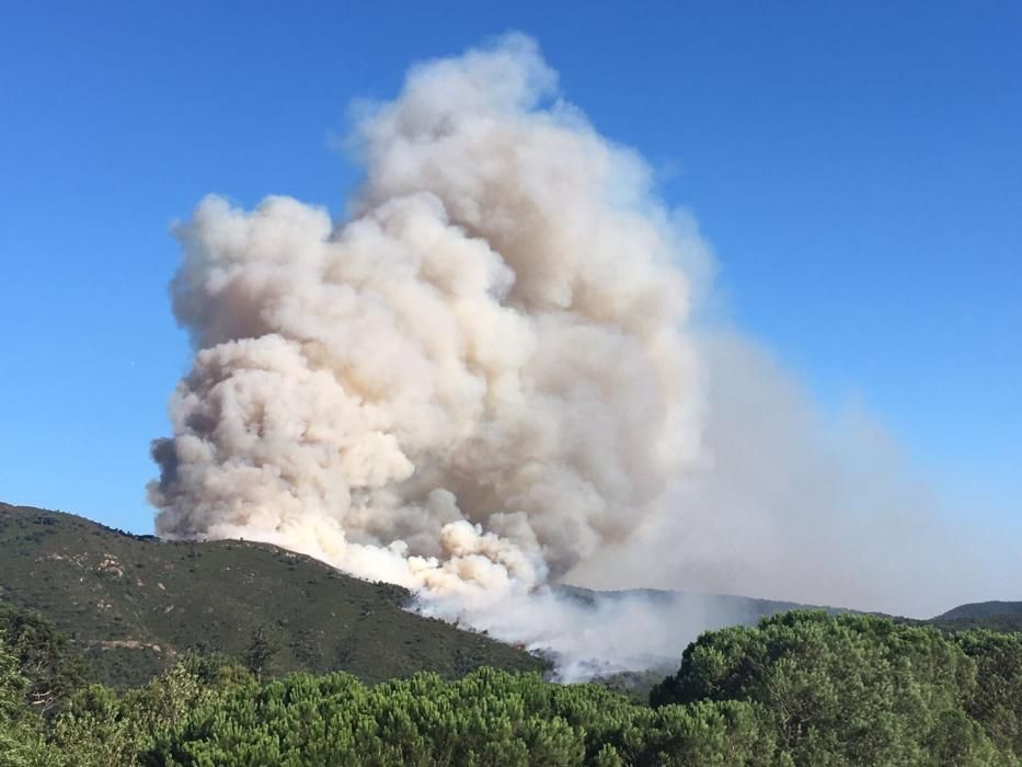 L'incendi al Rosselló avança cap a l'Empordà