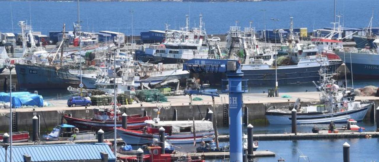 Barcos pesqueros amarrados ayer en la dársena de Oza, en el puerto de A Coruña.