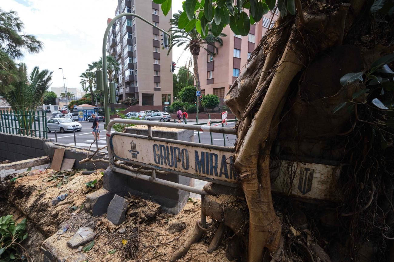 Cartel antiguo del barrio de Miramar que ha quedado entre las ramas de un árbol