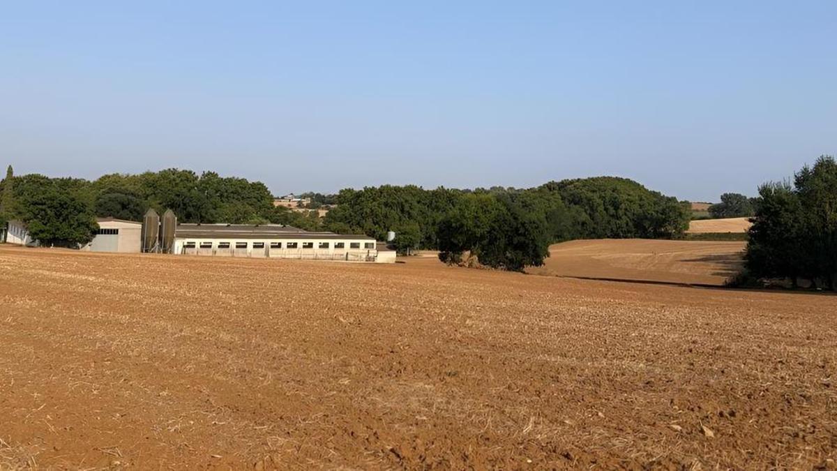 Un camp, amb una granja al fons, al terme de Camós, al Pla de l'Estany.