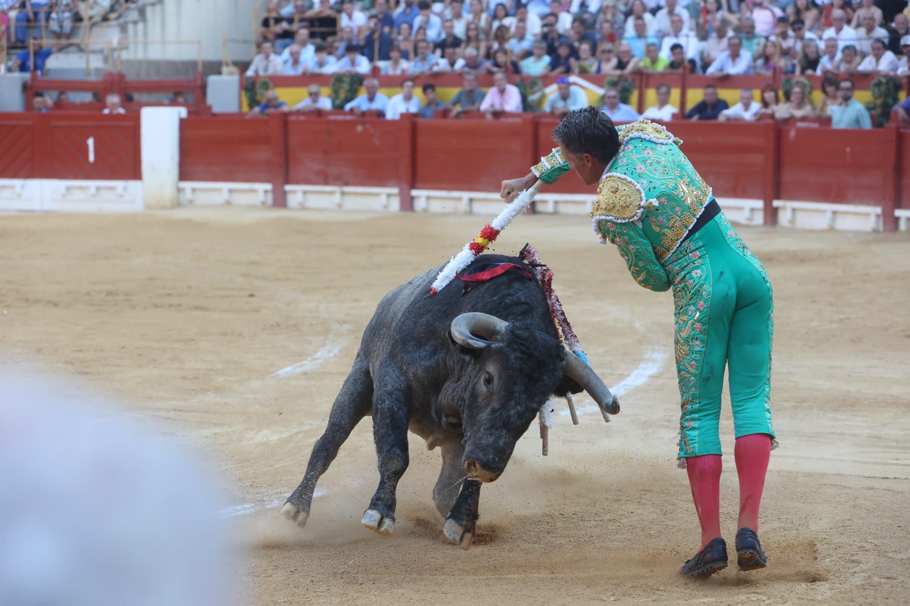 Así ha sido la tarde de Toros de Victorino Martín para Manuel Escribano, en solitario, en Alicante