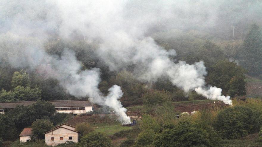 Medio Rural recibe a diario más de 800 comunicaciones de quemas de particulares