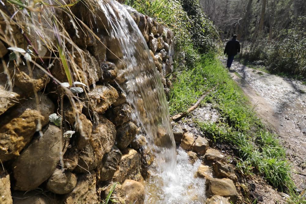 Conoce las cascadas, ríos y pozas de Alicante, los lugares donde el agua siempre fluye