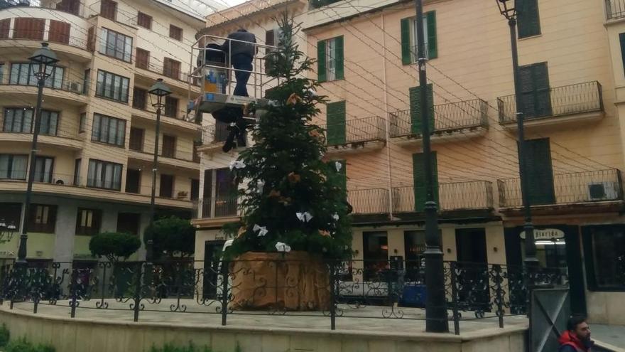 Operarios municipales colocando hoy el Ã¡rbol de navidad de la plaza de EspaÃ±a