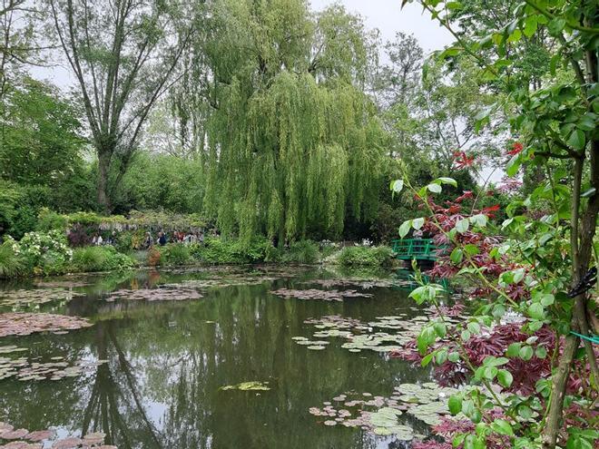 El jardín de agua