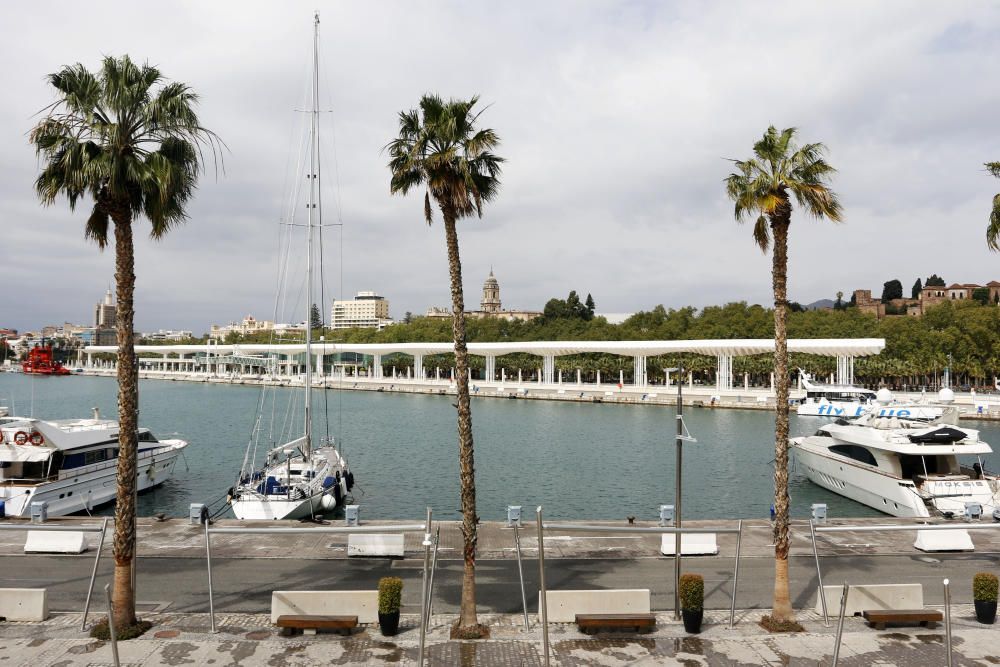 Con más de una semana de confinamiento cumplida, la ciudad de Málaga sigue dejando imágenes desoladoras en sus calles. Pocos transeúntes en puntos siempre tan bulliciosos como el Muelle Uno o apenas tráfico en el Paseo de los Curas, normalmente atestado de vehículos a cualquier hora del día.