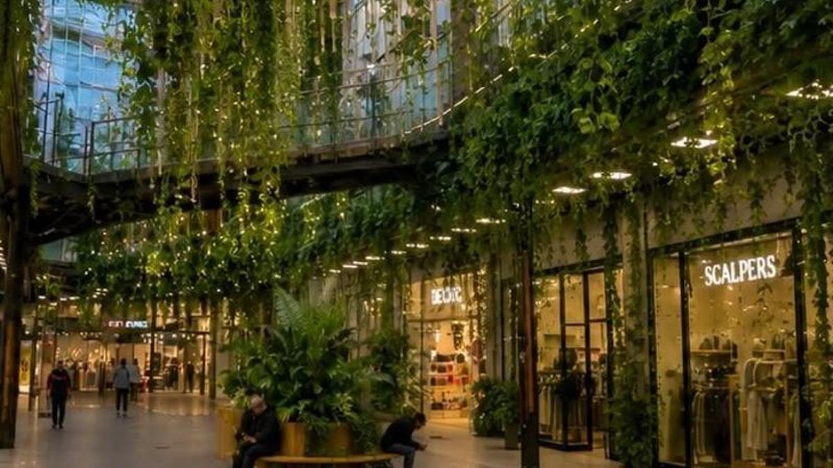 Área Central caracterizado como una jungla