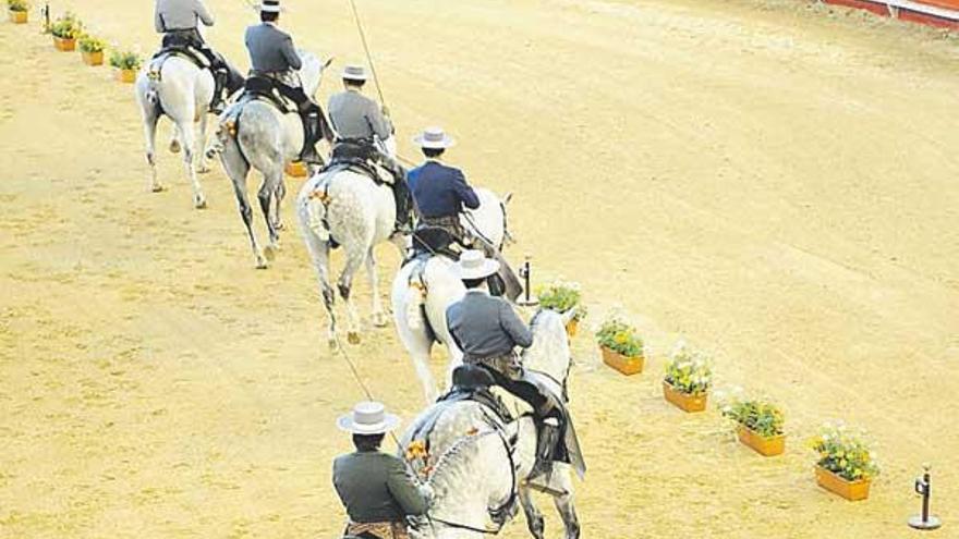 Los caballos, ayer, durante el espectáculo. / 13fotos