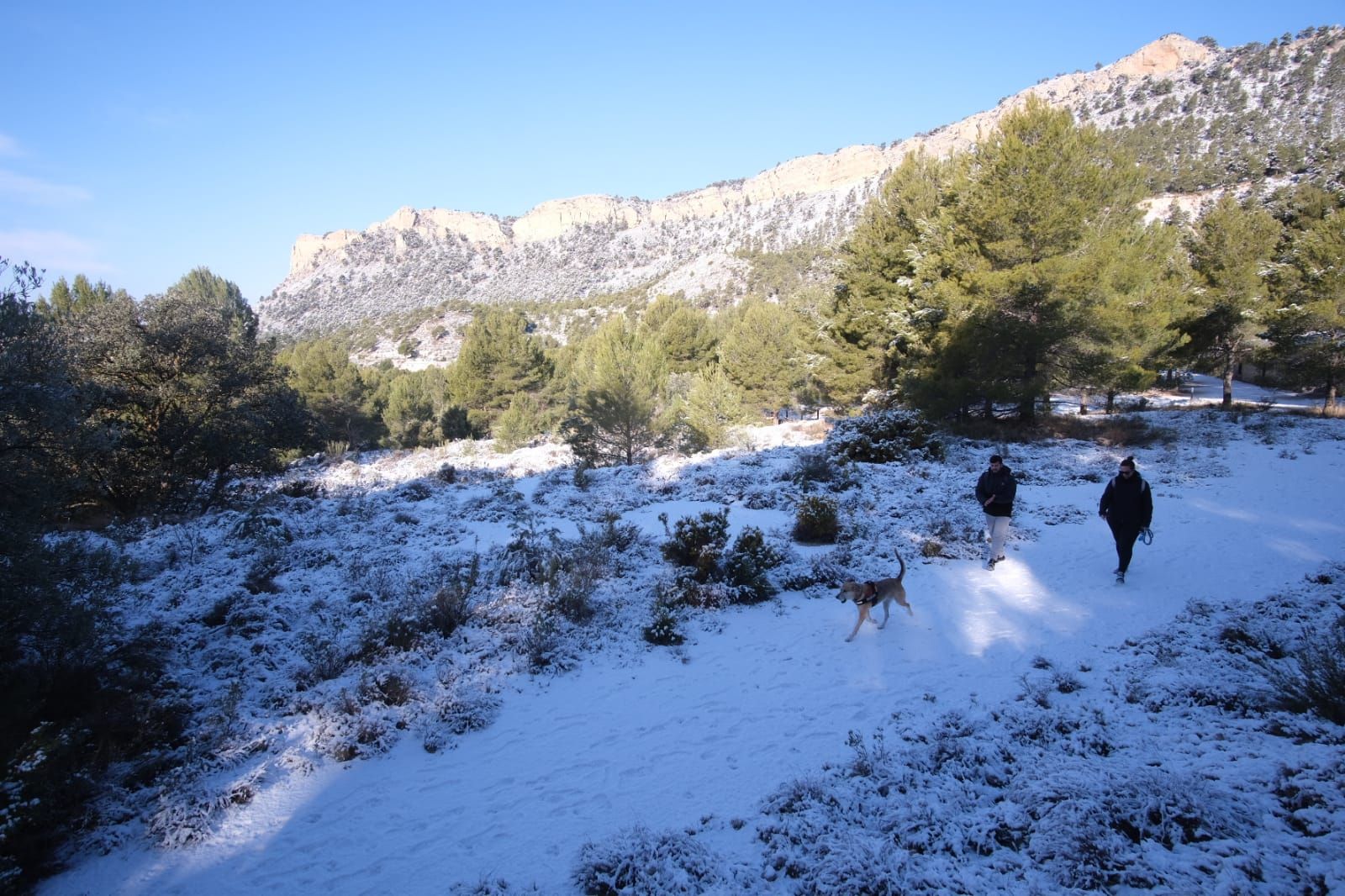 La nieve cubre de blanco el Xorret de Catí