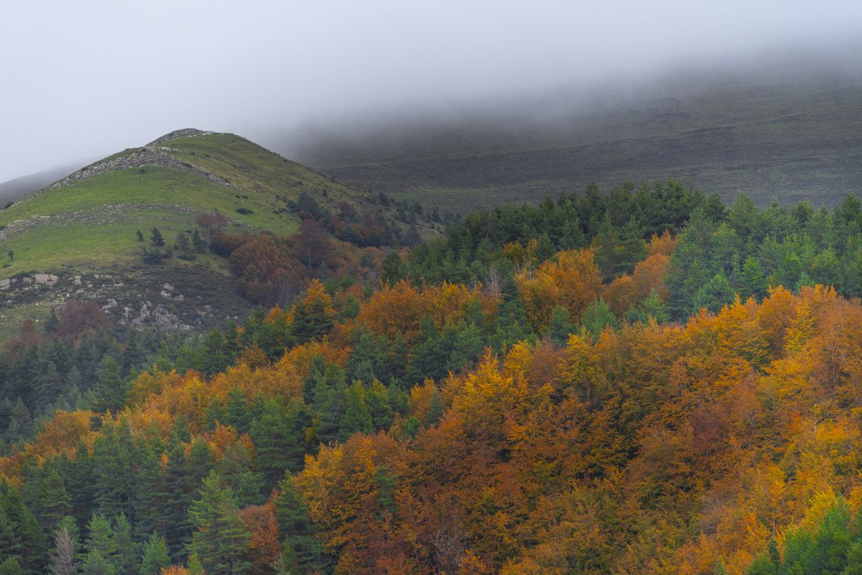 Otoño en el valle de Aezkoa