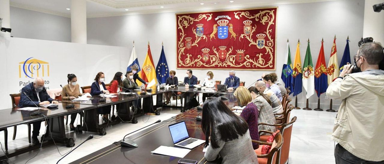 Los rectores de las dos universidades públicas canarias con los representantes de los grupos parlamentarios.
