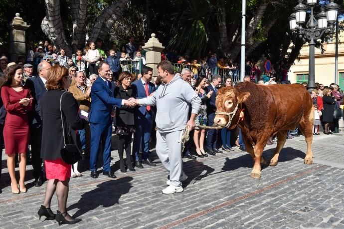Fiesta de San Sebastián. Feria de ganado y ...
