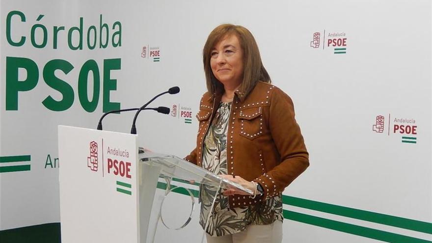 El PSOE-A reclama una ley estatal que reconozca a las familias monoparentales