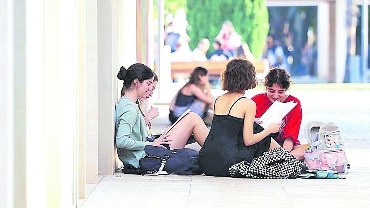 Imagen de unos estudiantes preparándose los exámenes en un campus de una universidad valenciana.