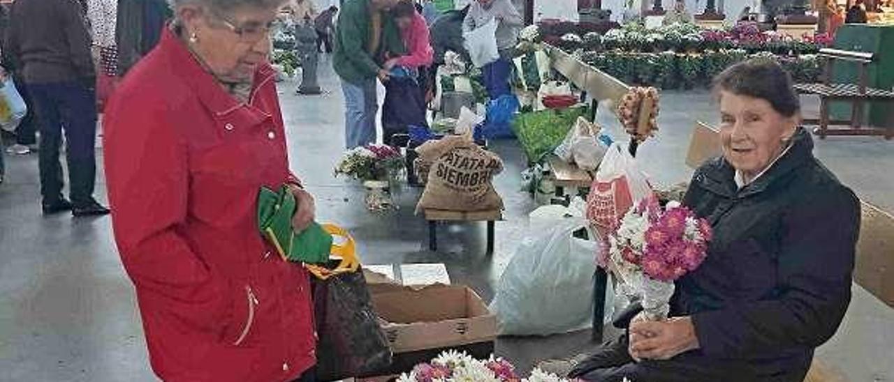 La faba fresca, la reina de abastos en Villaviciosa