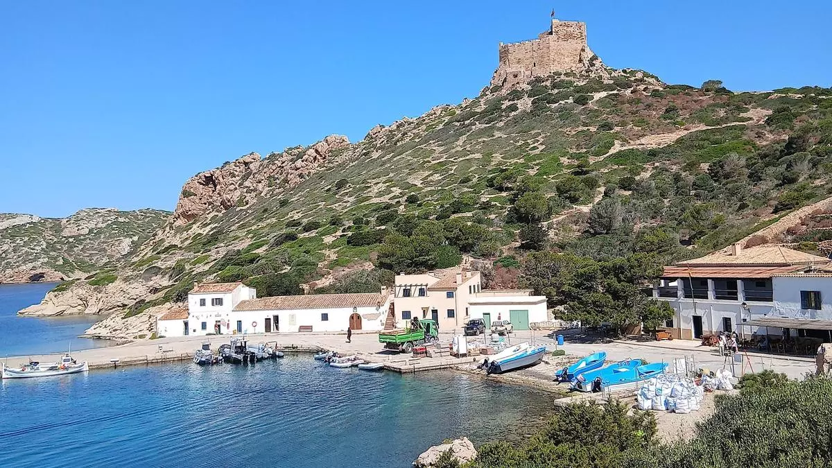 "Das Hauptproblem ist der Klimawandel": Artensterben im Nationalpark Cabrera schreitet rasend schnell voran