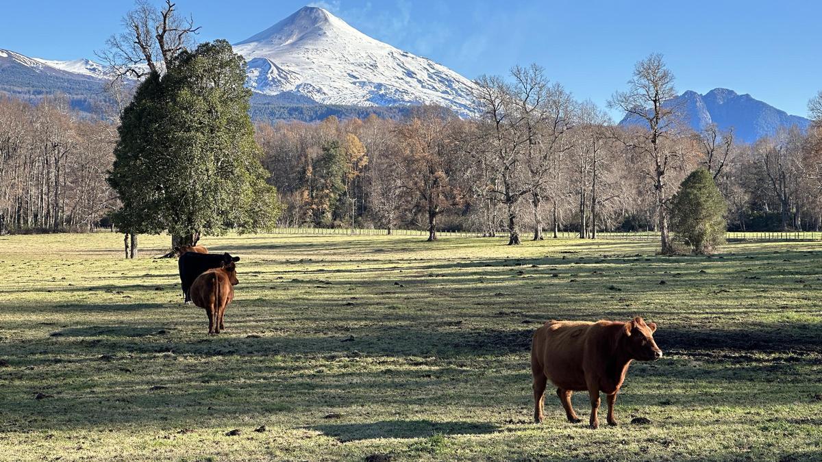 El Villarrica, uno de los volcanes más icónicos de La Araucanía