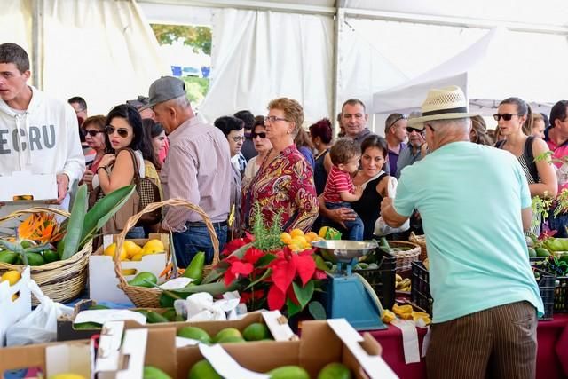 II Feria del Aguacate en Arguineguín