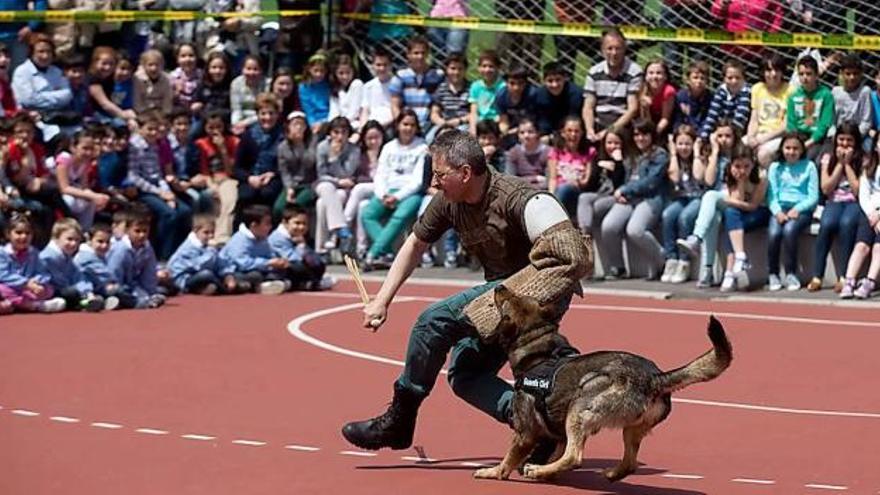 Un perro de la unidad canina, con su entrenador, en uno de los ejercicios de la exhibición.