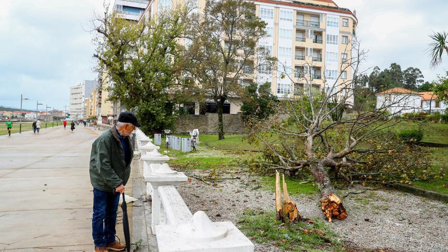 Árboles caídos, tejados dañados y vientos de más de 100 kilómetros en la previa de Ciarán