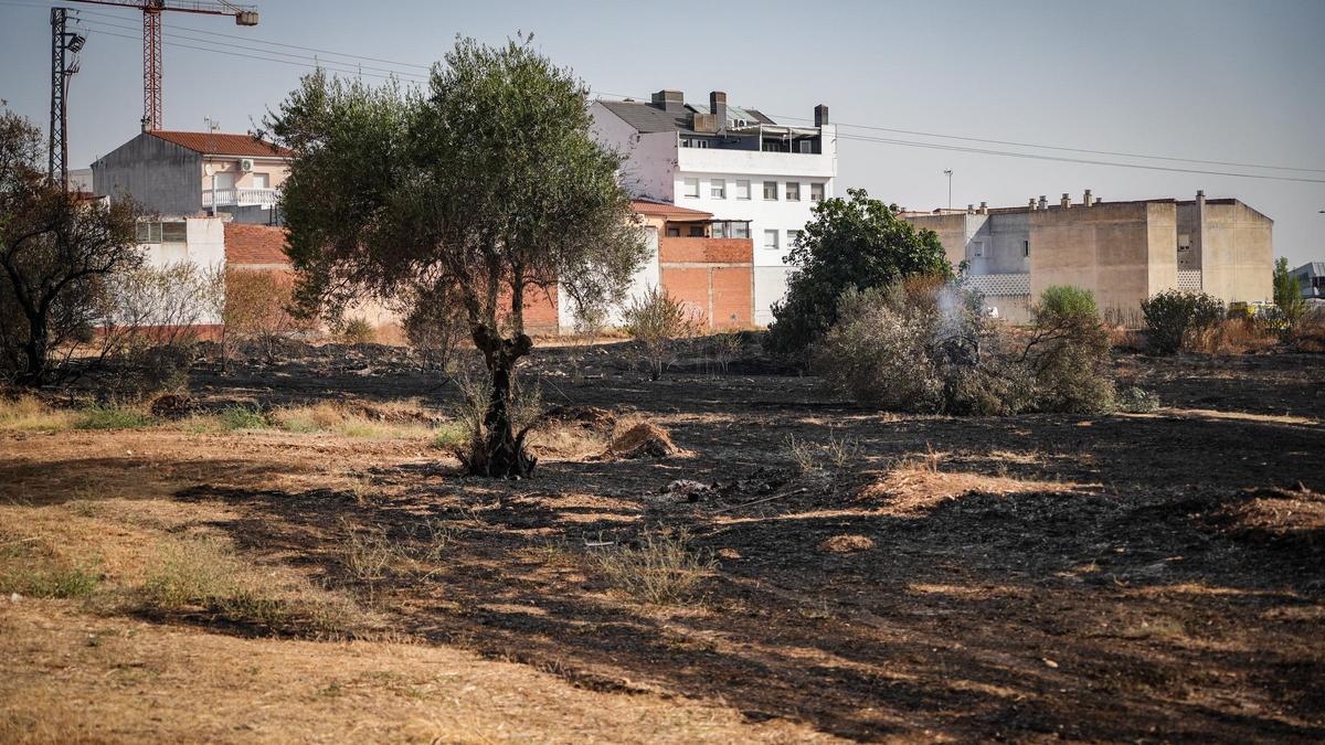 Incendio en La Banasta.