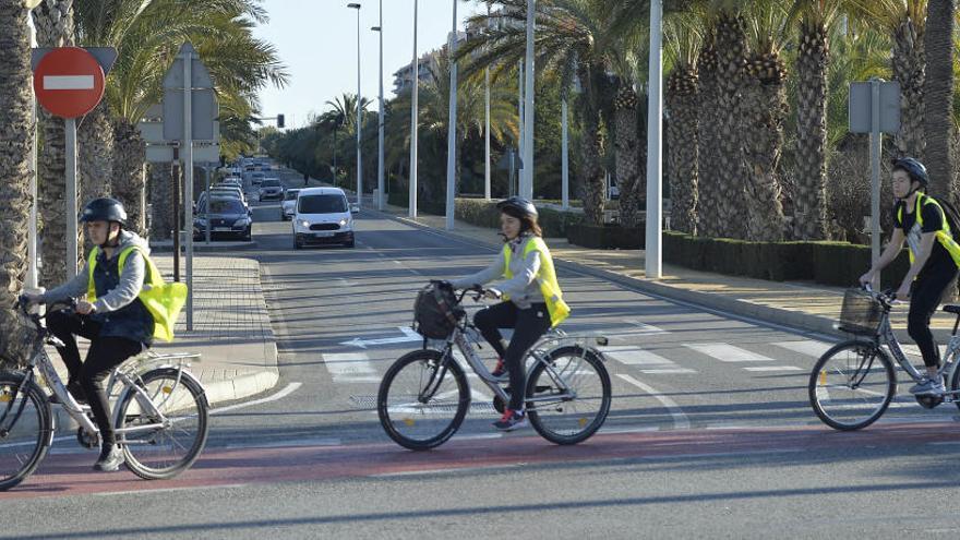 La bicicleta pública evita la emisión de 30 toneladas de CO2 en Elche