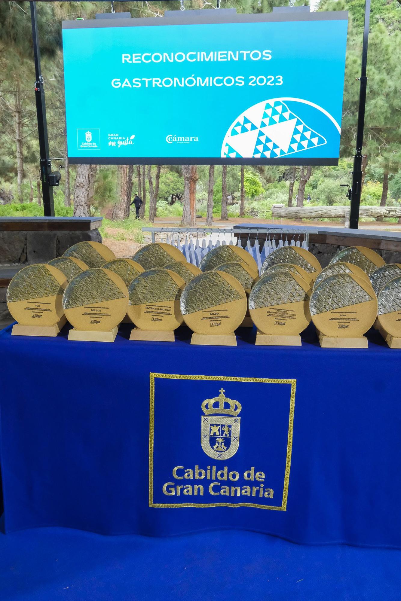 El Cabildo de Gran Canaria homenajea a los galardonados con las Guías Michelin y Repsol 2023