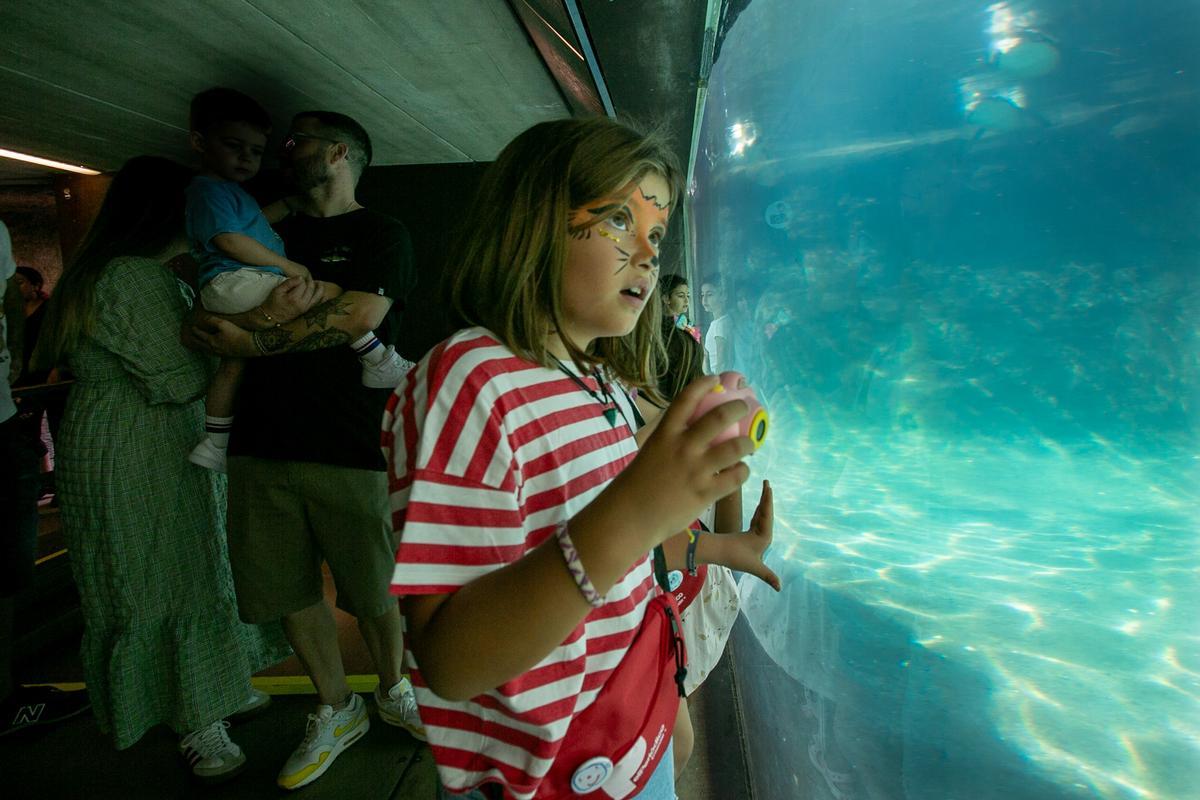 Fiesta solidaria de EL PERIÓDICO en favor de Aprenem Autisme en el Zoo de Barcelona