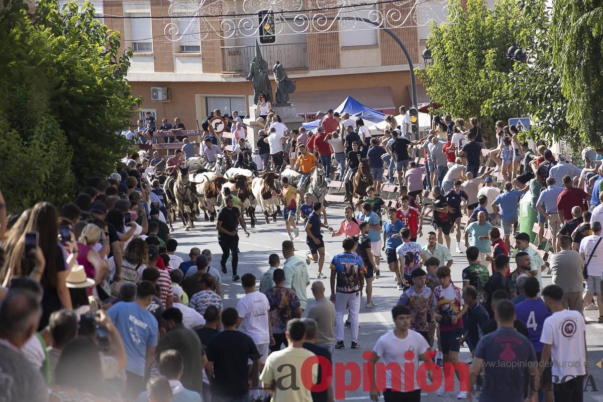 Séptimo encierro de las Fiestas de Moratalla