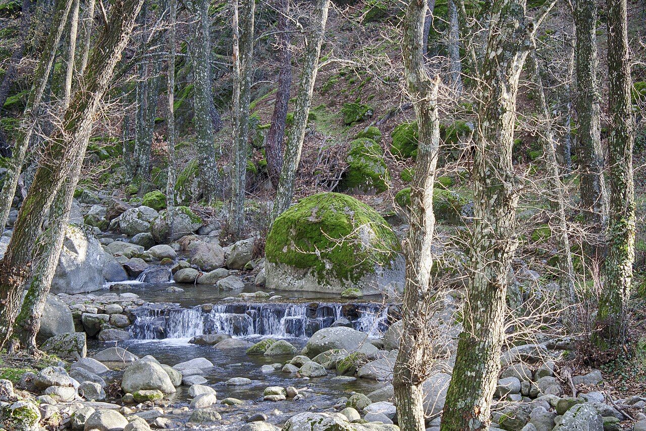 La garganta de Nuño Cojo en Piedralaves